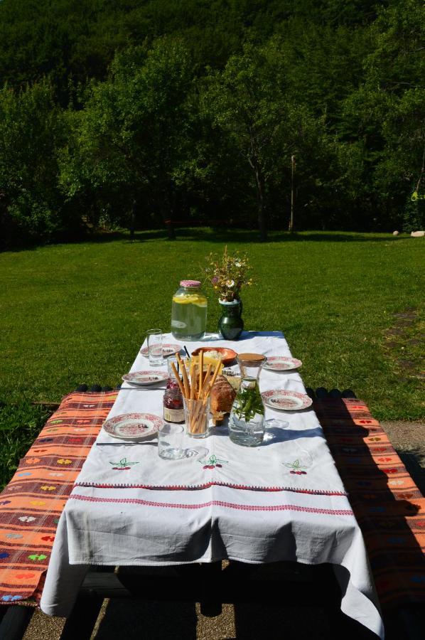 Sveti Martin pod Okicem Na Okic - A Private Forest Oasis מראה חיצוני תמונה