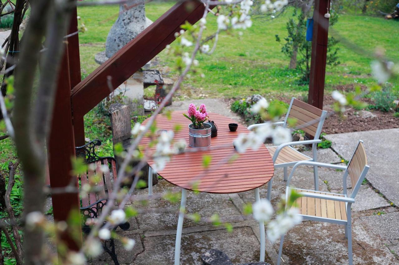 Sveti Martin pod Okicem Na Okic - A Private Forest Oasis מראה חיצוני תמונה